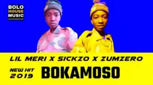 Lil Meri - Bokamoso ft. Sickzo x Zumzero